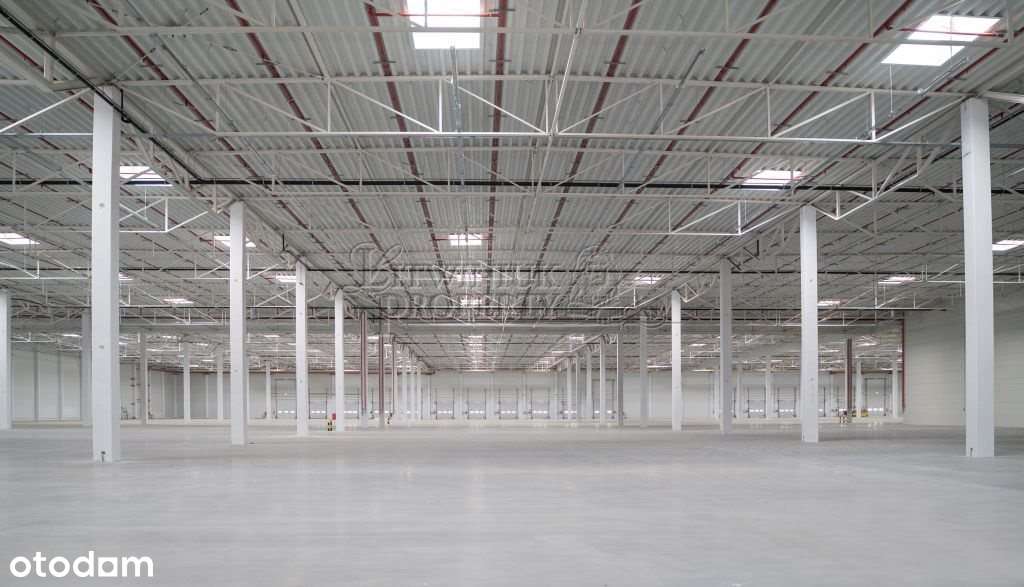hala do wynajęcia klasy A w Katowicach - Pełny obrazek: 2/4