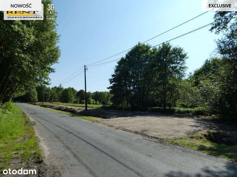 Działka z warunkami zabudowy w pobliżu rzeki lasu - Pełny obrazek: 5/10