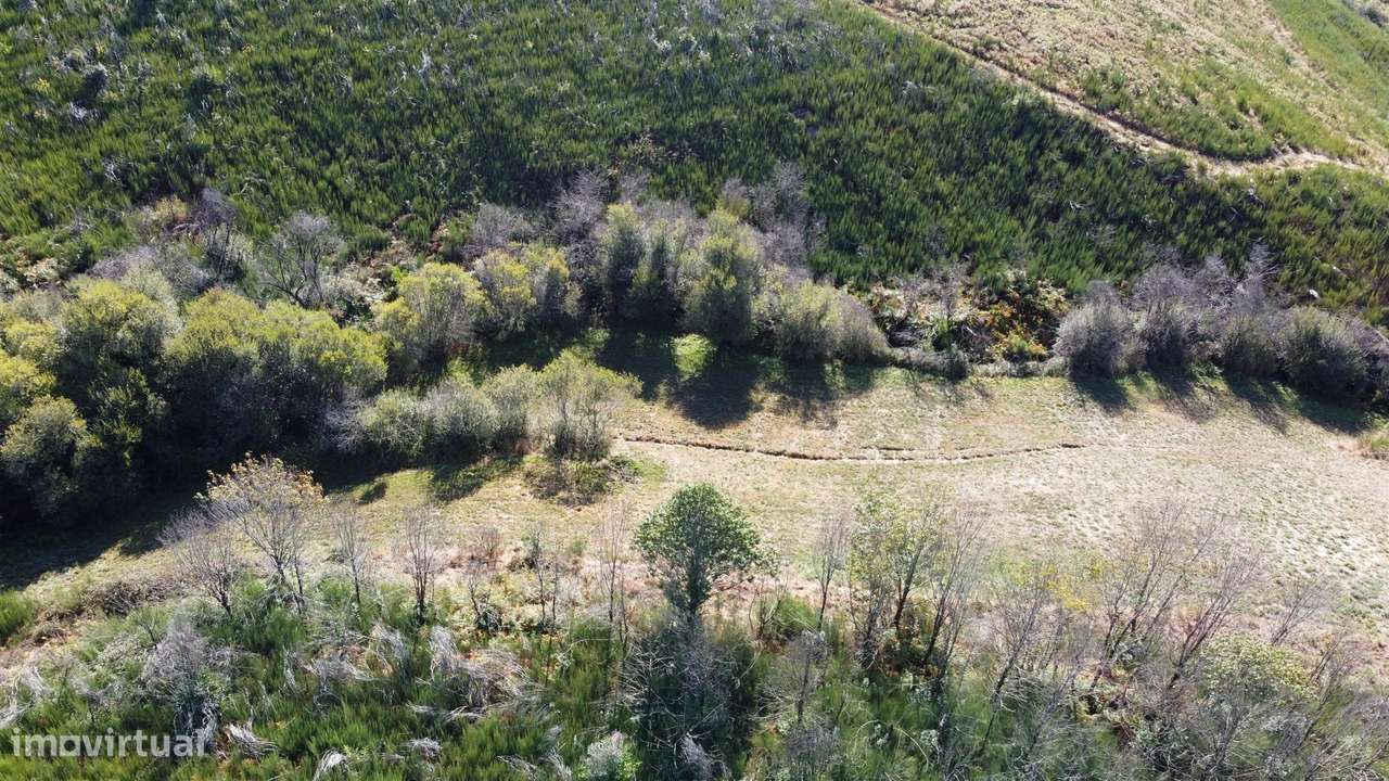 Duas habitações em 18 hectares-6