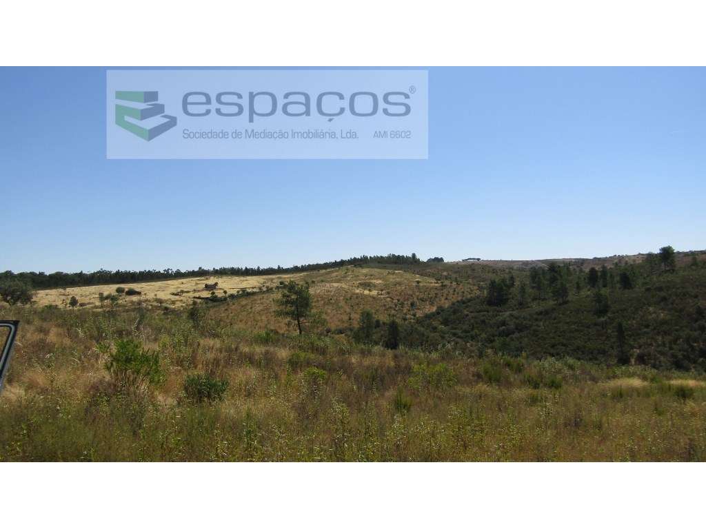 Quinta Rustica a confinar com um Ribeiro. - Grande imagem: 4/25