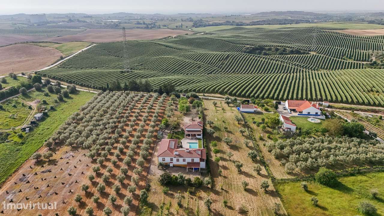 Quinta com piscina e vista sobre o Ribatejo, entre conforto e natureza-6