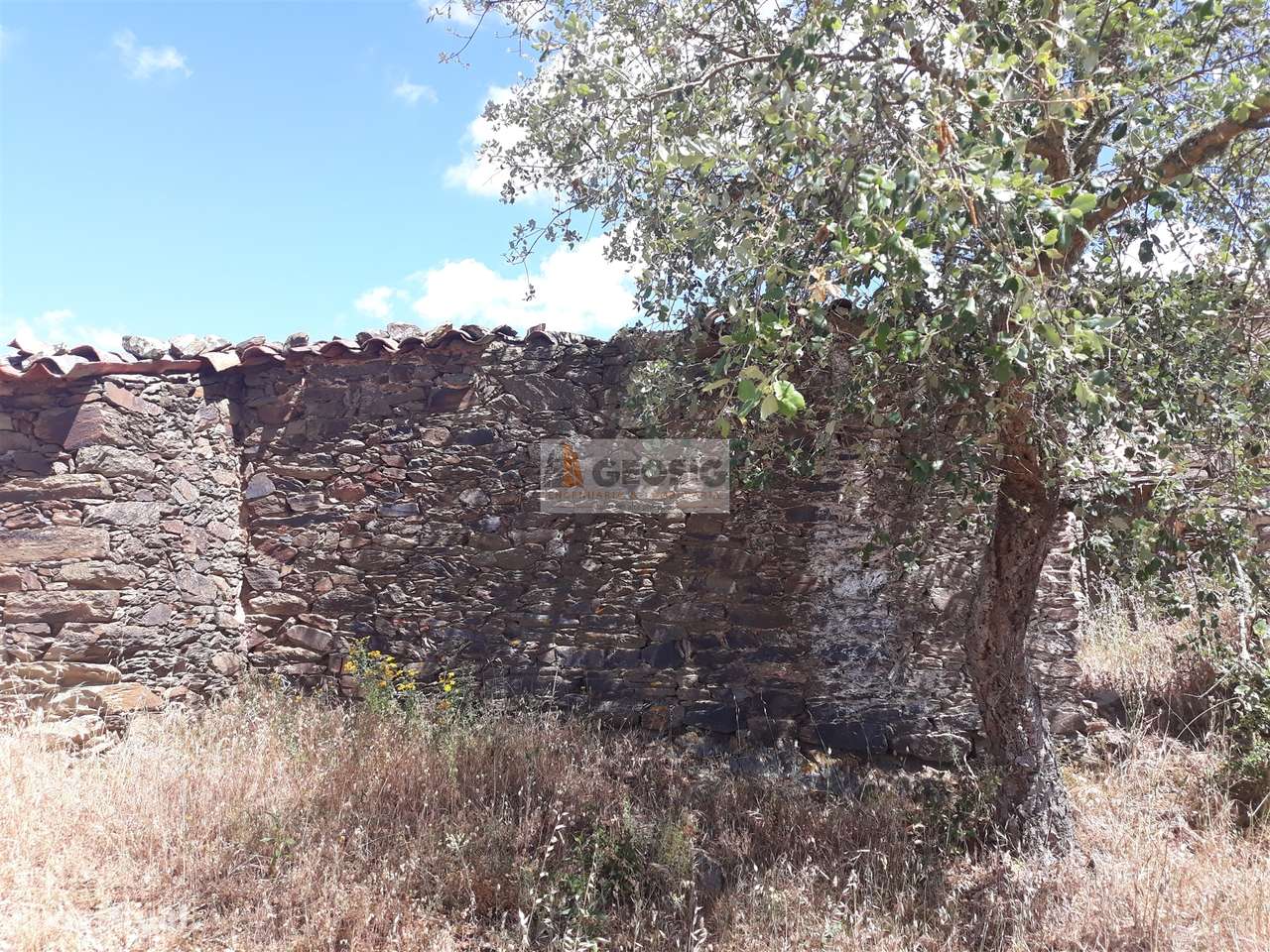 Quintinha T1 Venda em Ourique,Ourique - Grande imagem: 5/12