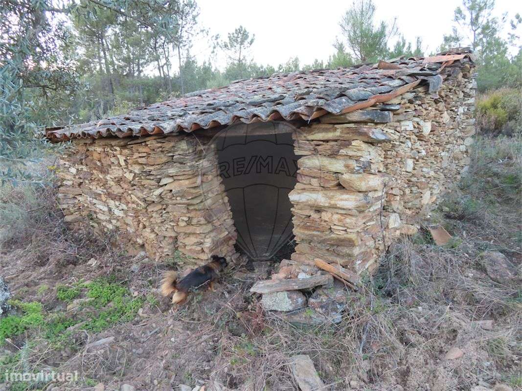 Quinta  para venda - Grande imagem: 3/21