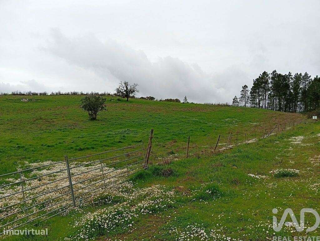 Terreno Agrícola em Ameixial - Grande imagem: 2/8