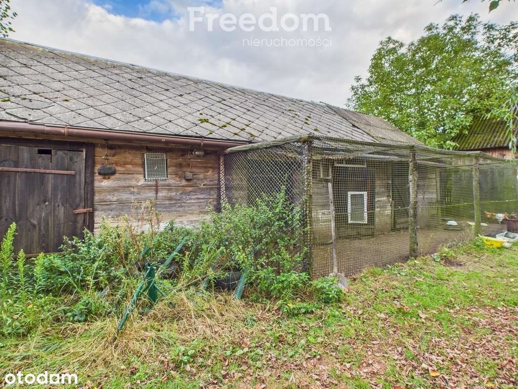 Siedlisko na pięknej działce - Pełny obrazek: 5/12