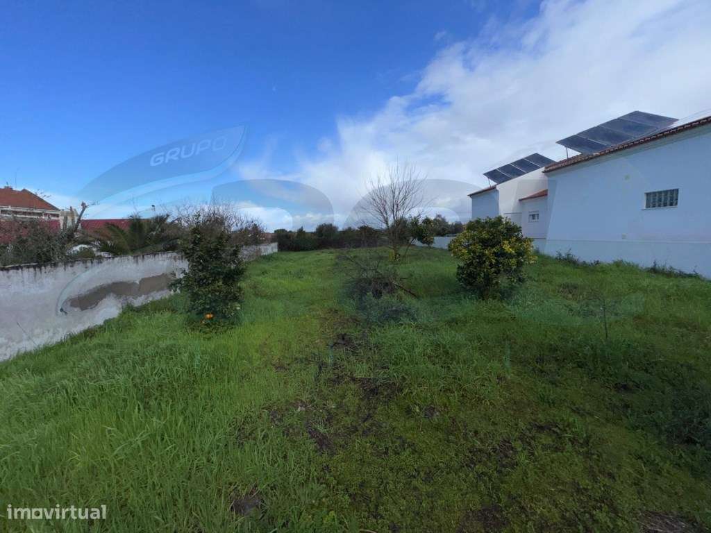 Charme Alentejano numa Moradia T3+2 com Garagem-23