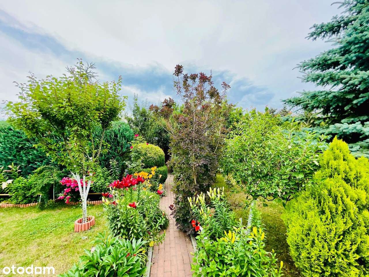 Działka ROD | Urokliwa i zadbana | Z całym wyposażeniem!-12