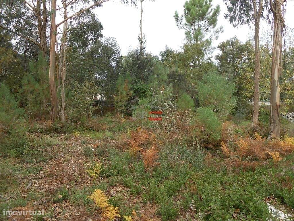 Terreno para Construção - Grande imagem: 3/14