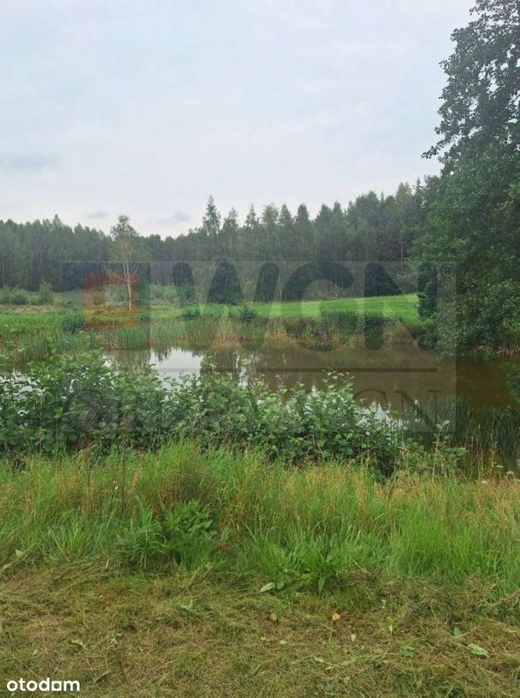 Sprzedam siedlisko, 39565m2. - Pełny obrazek: 5/8