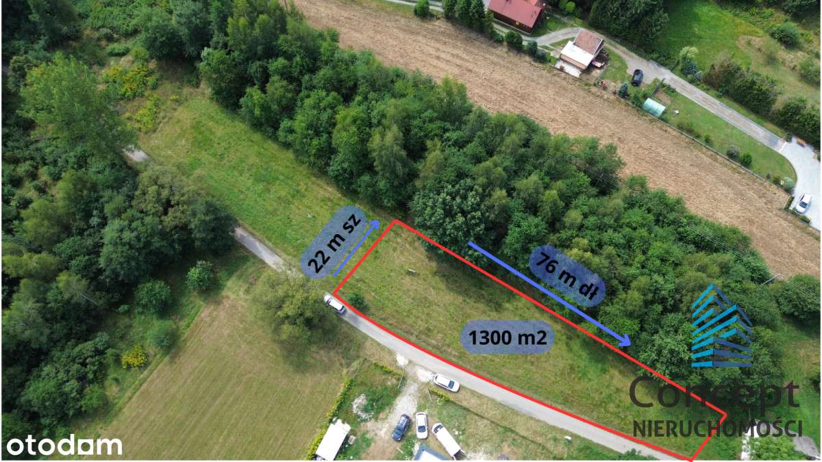 Działka Budowlana | 13a | Bucze | WZ | Nowa Cena - Pełny obrazek: 2/11