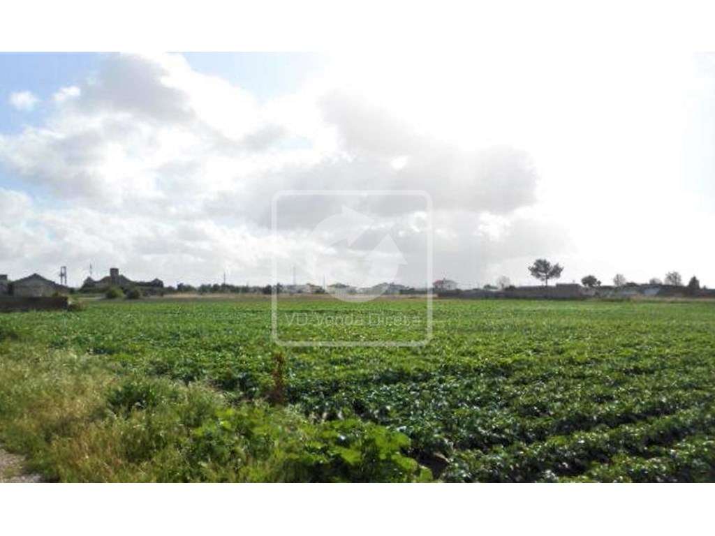 IMÓVEL DA BANCA - Terreno Misto com 59.880m2, Montijo próximo a A22 - Grande imagem: 4/14