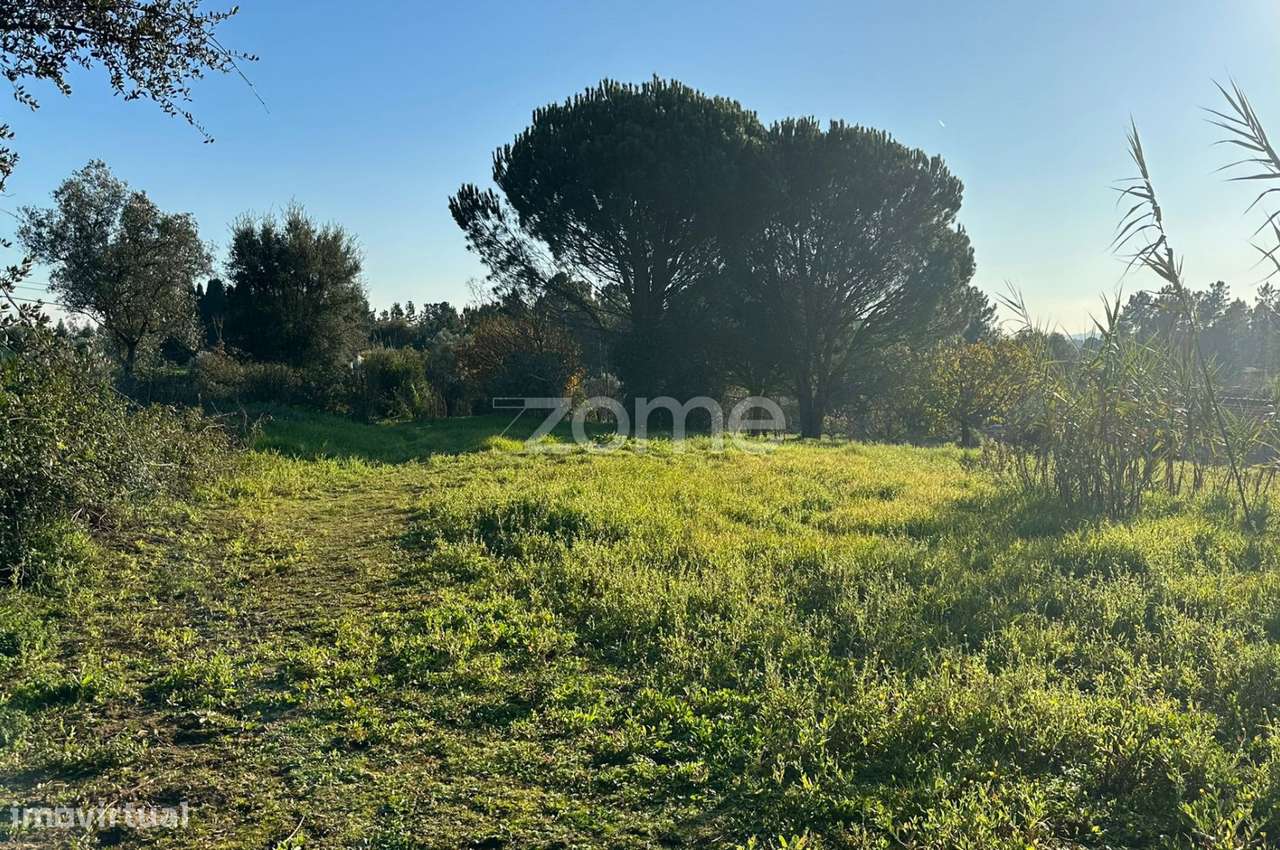 Terreno Urbano em Aguim com 2650m2 - Grande imagem: 2/20