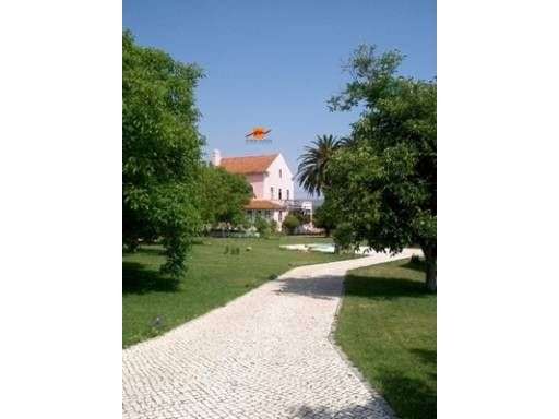 Quinta da Loureira - Urbanização e Turismo Rural-21