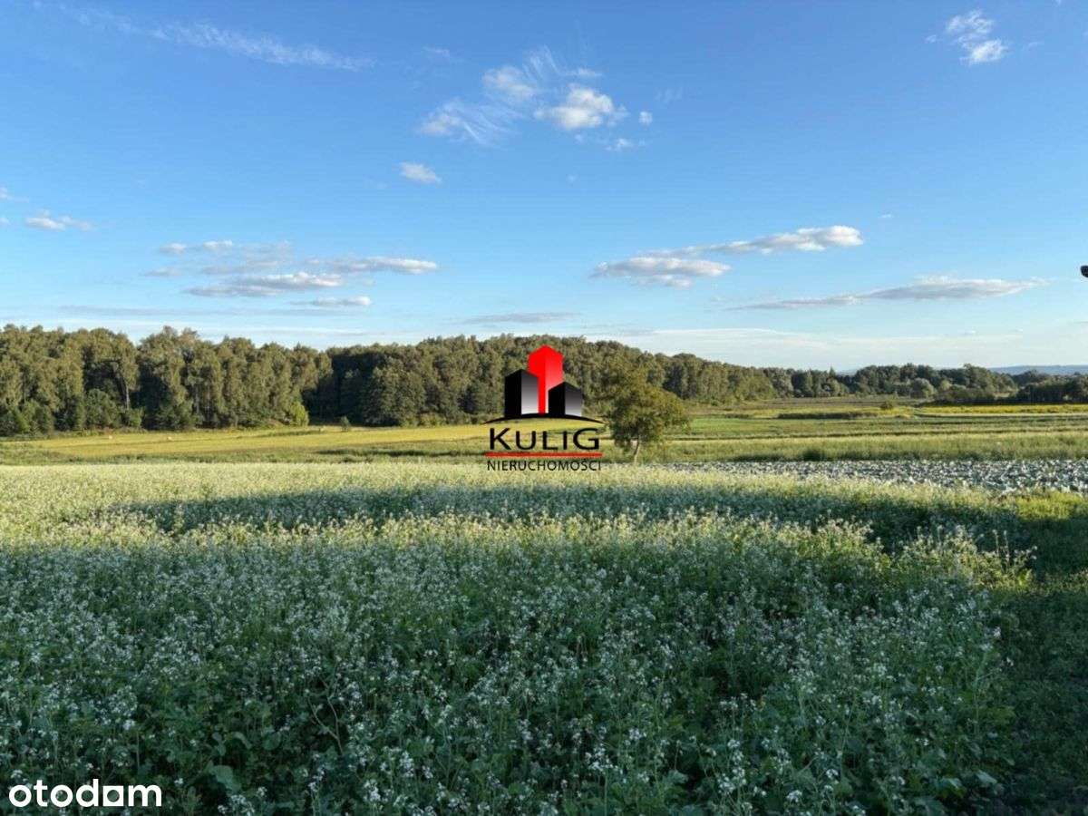 Kraków ul. Wróżenicka 39,1 ara budowlana-2