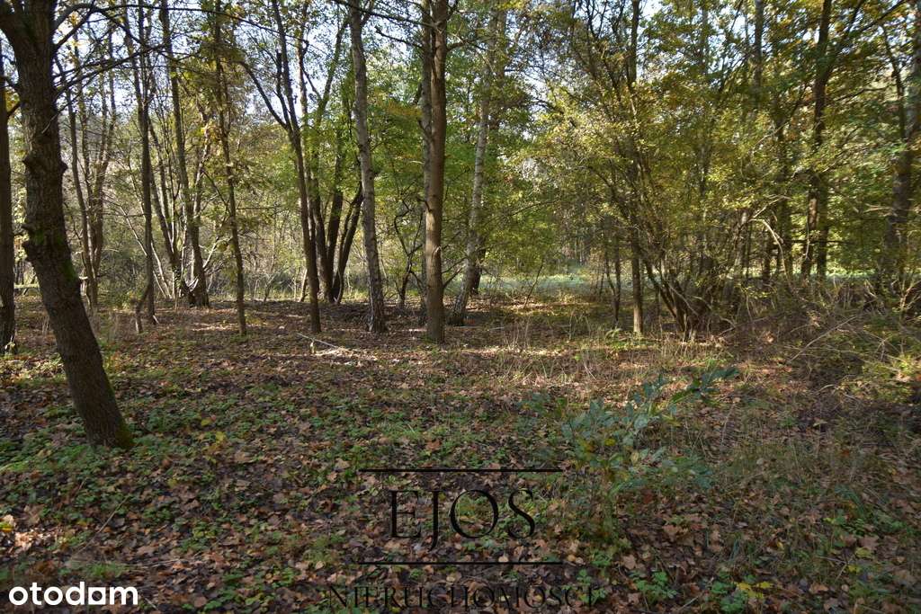 Działka z linią brzegową rzeki Świder w Otwocku - Pełny obrazek: 3/4