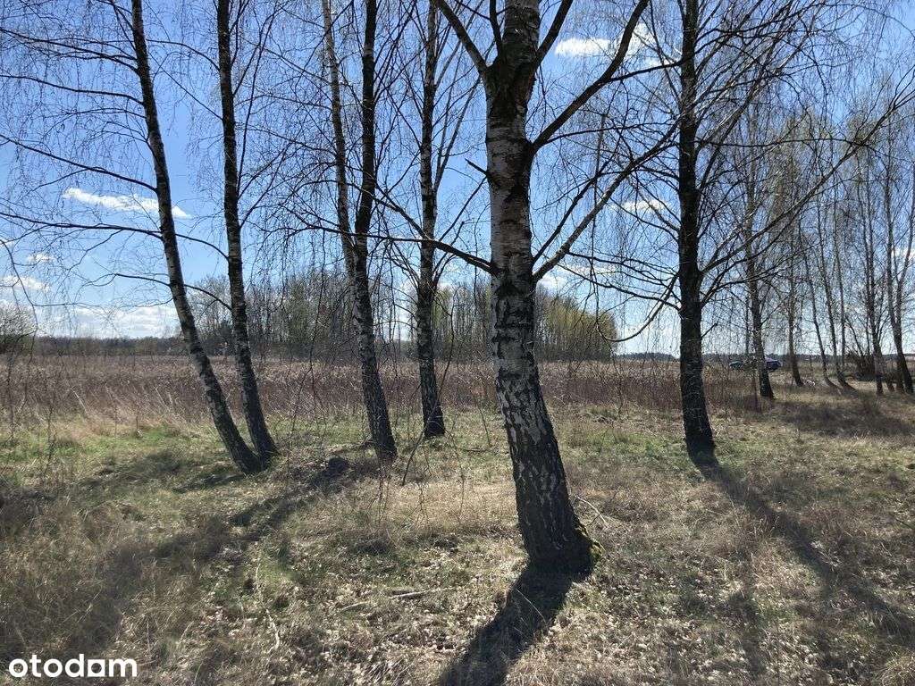 Działka, 4 100 m², Chynów-6