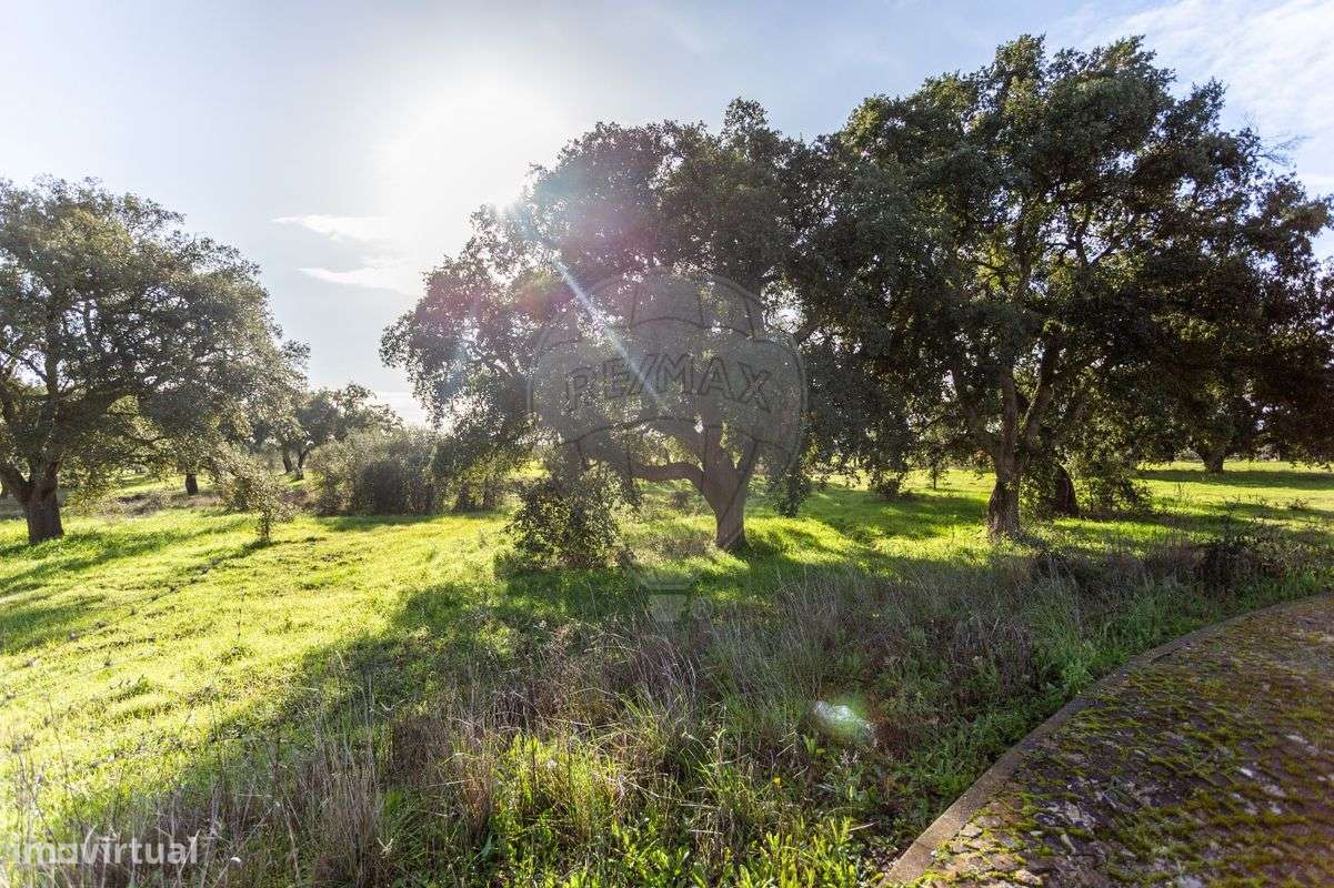 Terreno  para venda - Grande imagem: 5/7