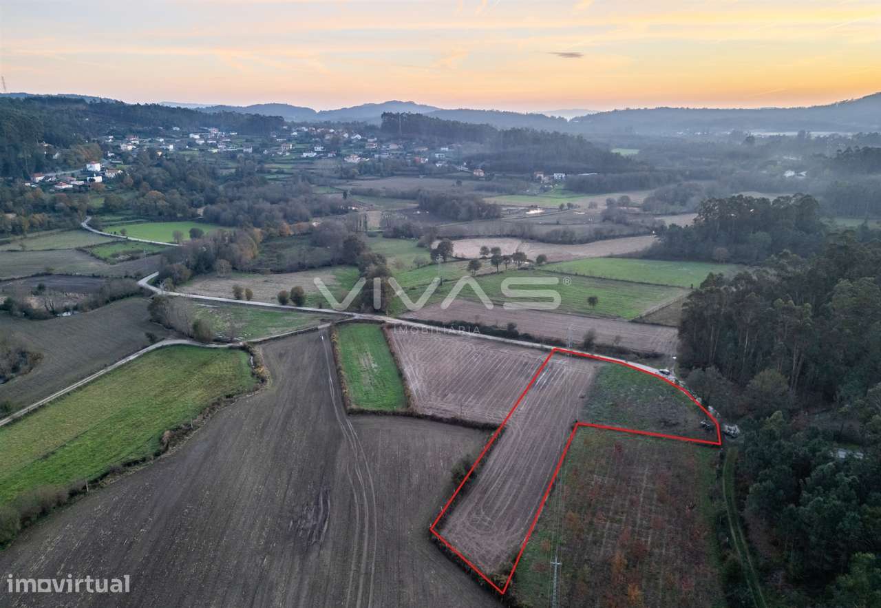 Terreno Rústico  Venda em Associação de freguesias do Vale do Neiva,Po - Grande imagem: 5/15