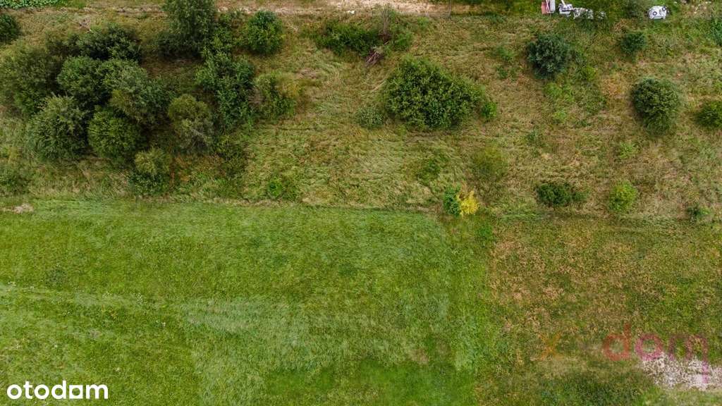 Działka/Działki w Ciekotach idealne pod inwestycje - Pełny obrazek: 4/6