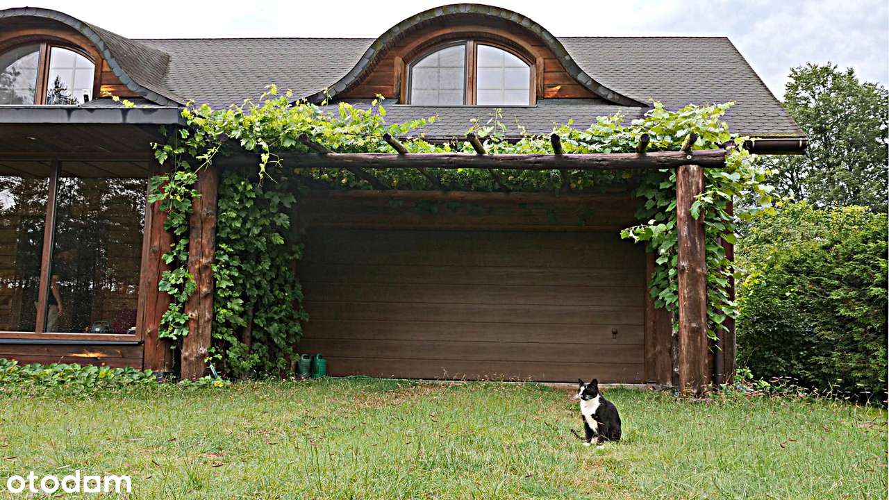 działka 4000m2 + 2 nowe domy w Biebrzańskim Parku Narodowym - Pełny obrazek: 4/13