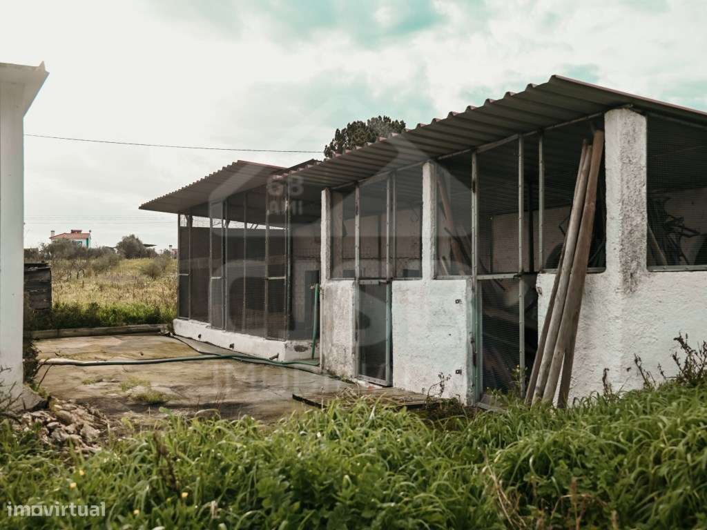 Quinta T4 nos Foros da Branca-31