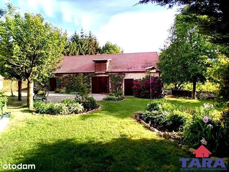 Żyj w zgodzie z naturą! - Pełny obrazek: 5/20