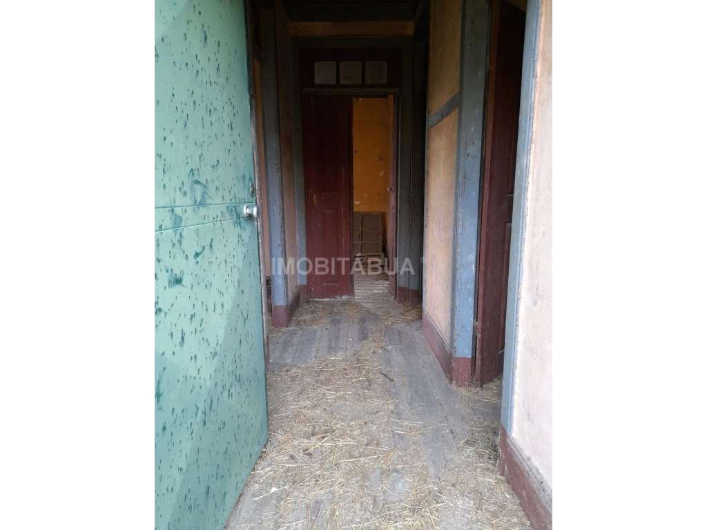 Quinta de Mirtilos com mais de 3 Hectares, localizada perto de Tondela-18