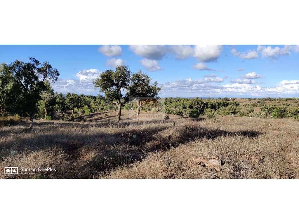 Terreno de 5,4ha com belas vistas da Serra e a 15km do centro de Gr... - Grande imagem: 5/9