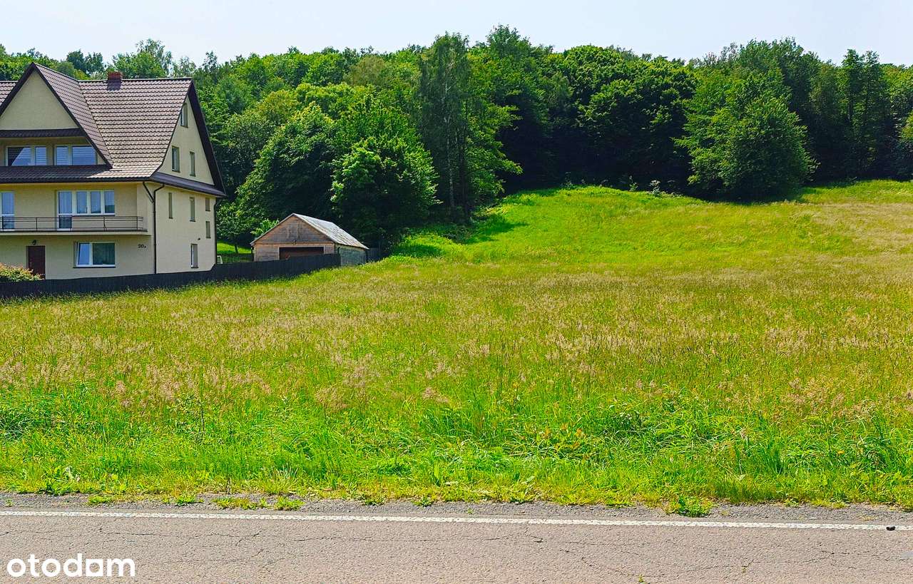 Działki na Roztoczu - Bondyrz-4