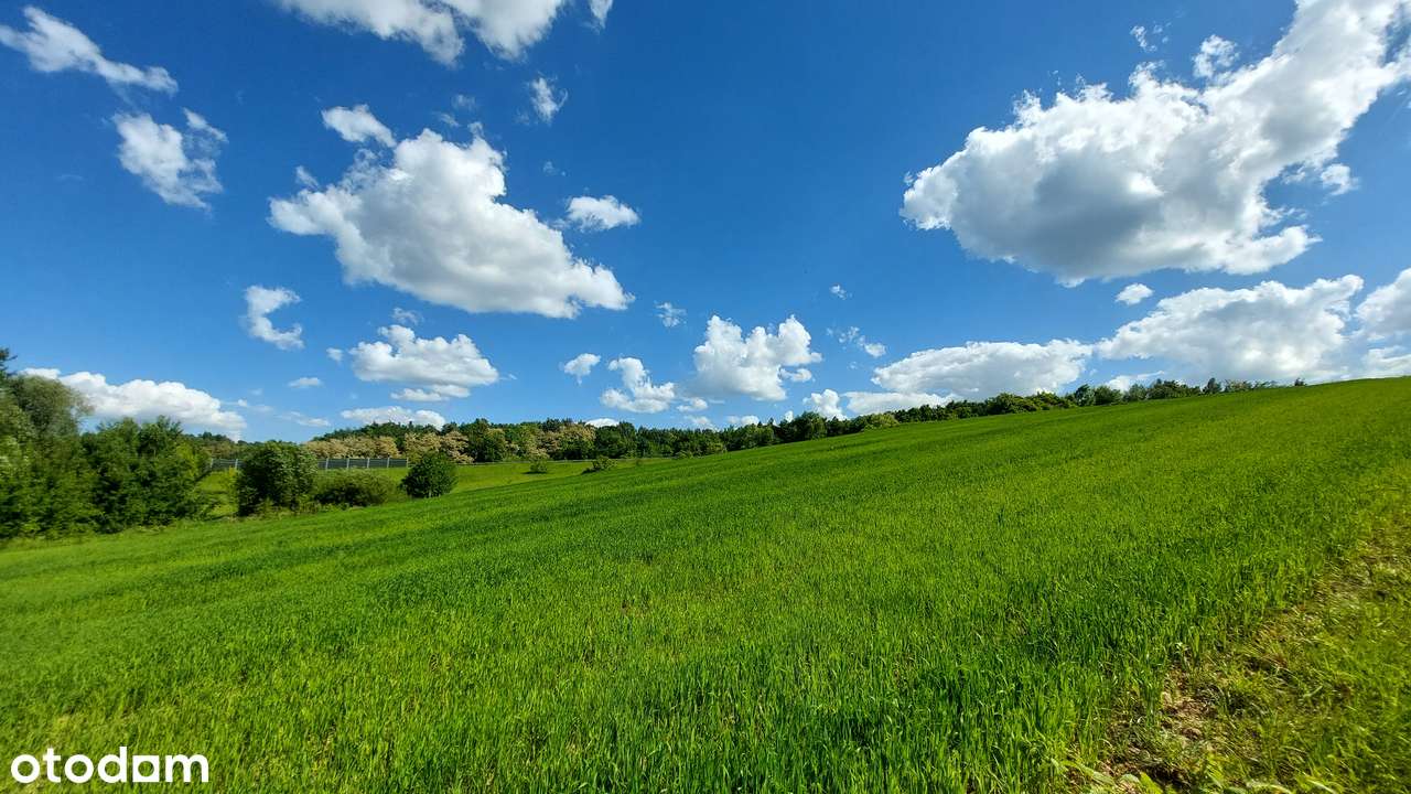 Działki budowlane pod dom jedn./ bliźniaka | 10 i 15 ar | blisko Cent.-14