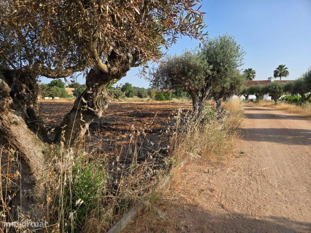 Monte Alentejano Contemporâneo no Coração do Alentejo | Aldeias de ...-29