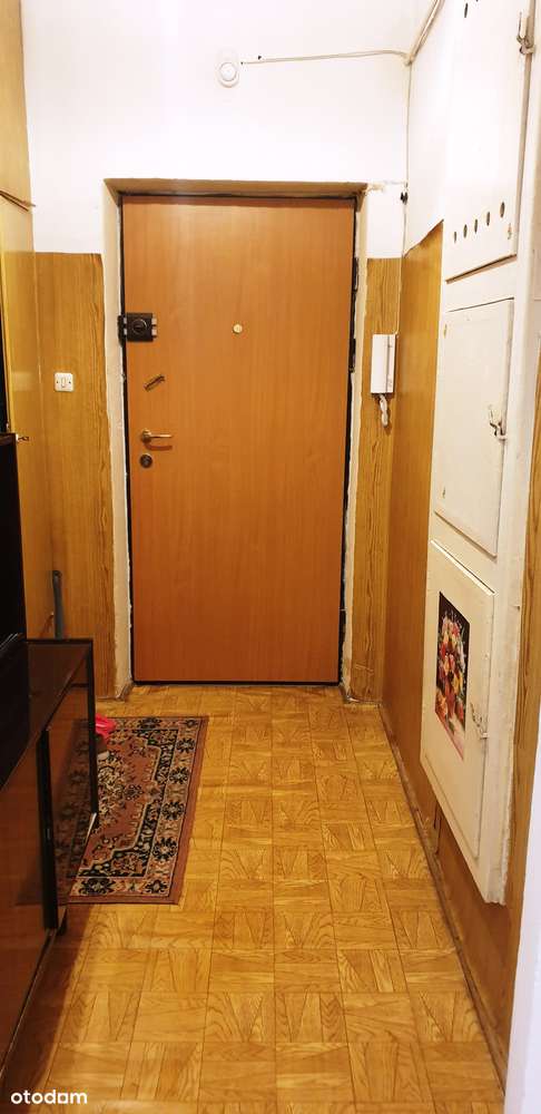 STARE BIELANY!.Kameralny budynek otoczony zielenią,ciche. Piwnica 6,75-8