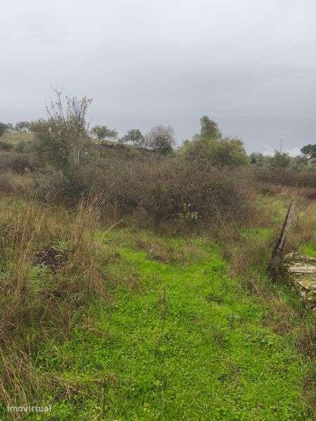 Terreno rústico em Moncorvo - Grande imagem: 4/8