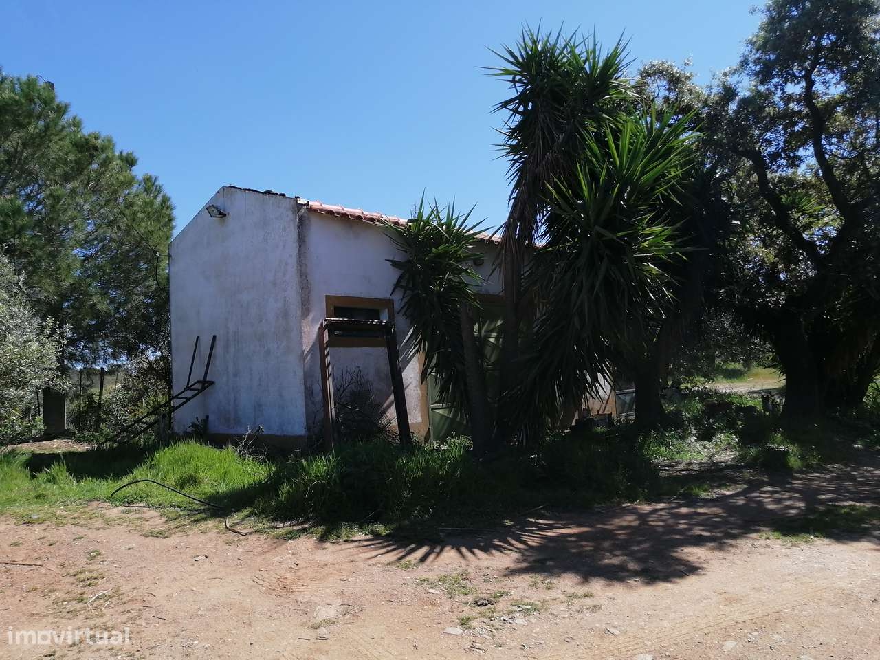 Terreno rústico de 25.000m² com acesso não pavimentado - Grande imagem: 2/9