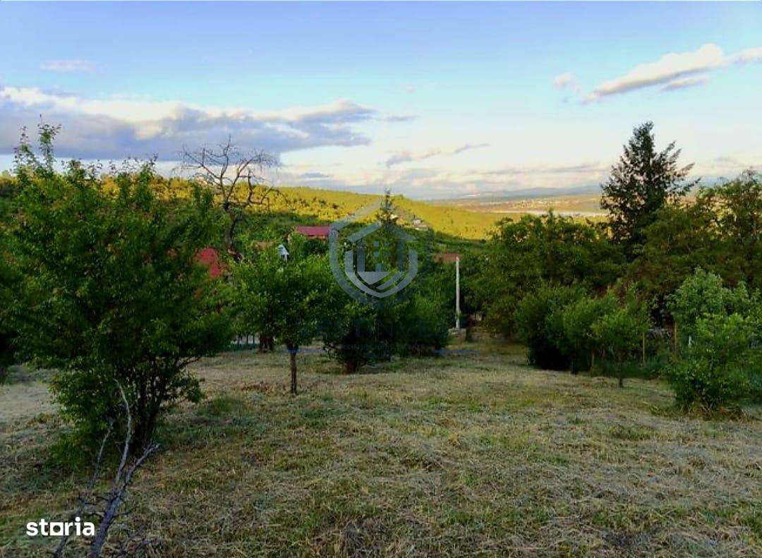 Teren Intravilan, Podgoria - Imagine principală: 4/5