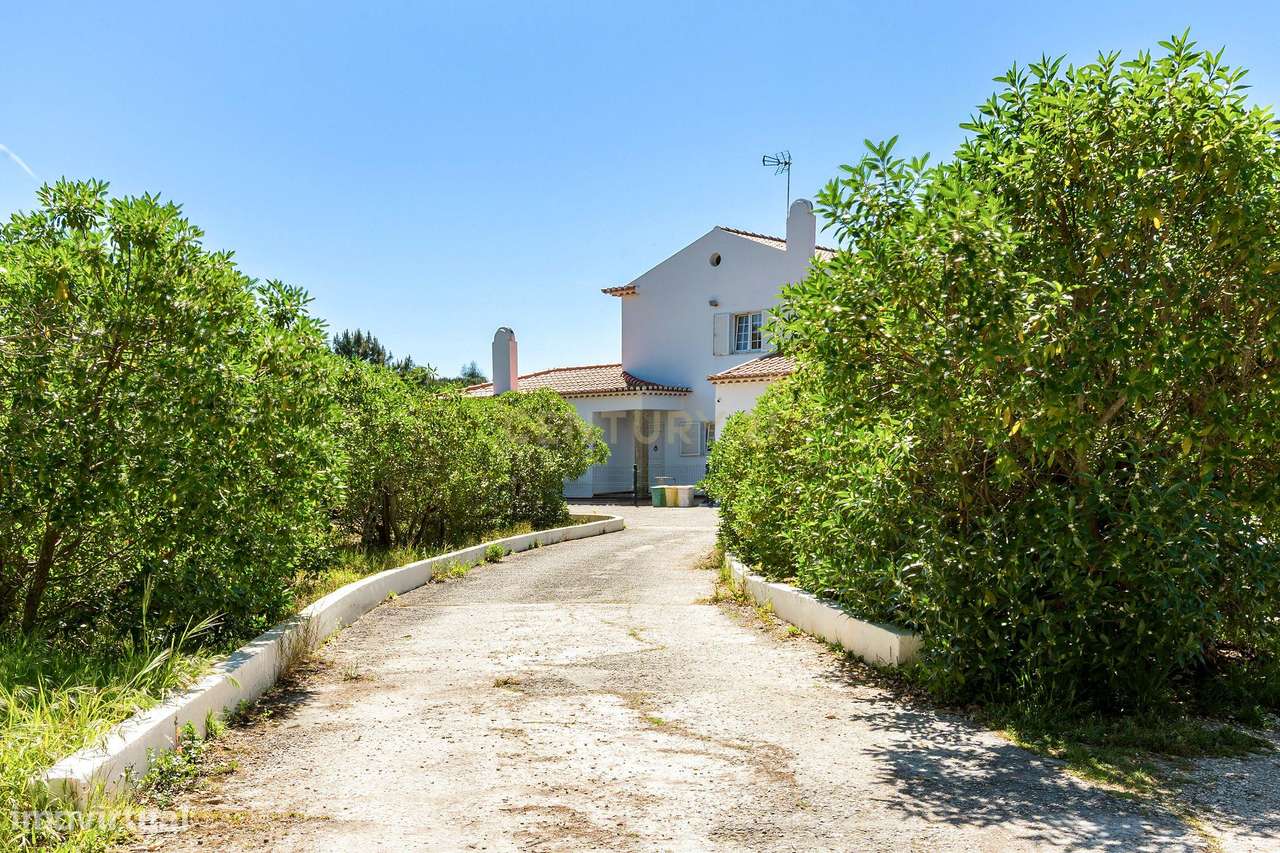Quinta de 14000m2 com moradia T4 e piscina | Sintra-28