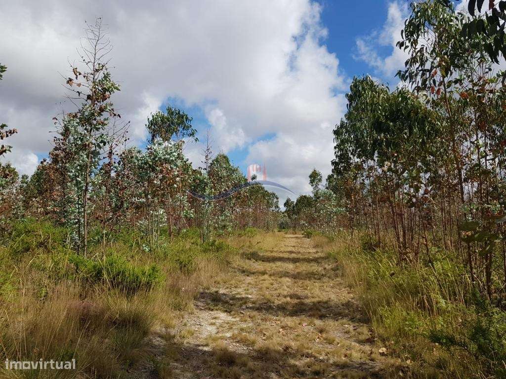 Terreno - Zona Monte Real - Grande imagem: 4/41