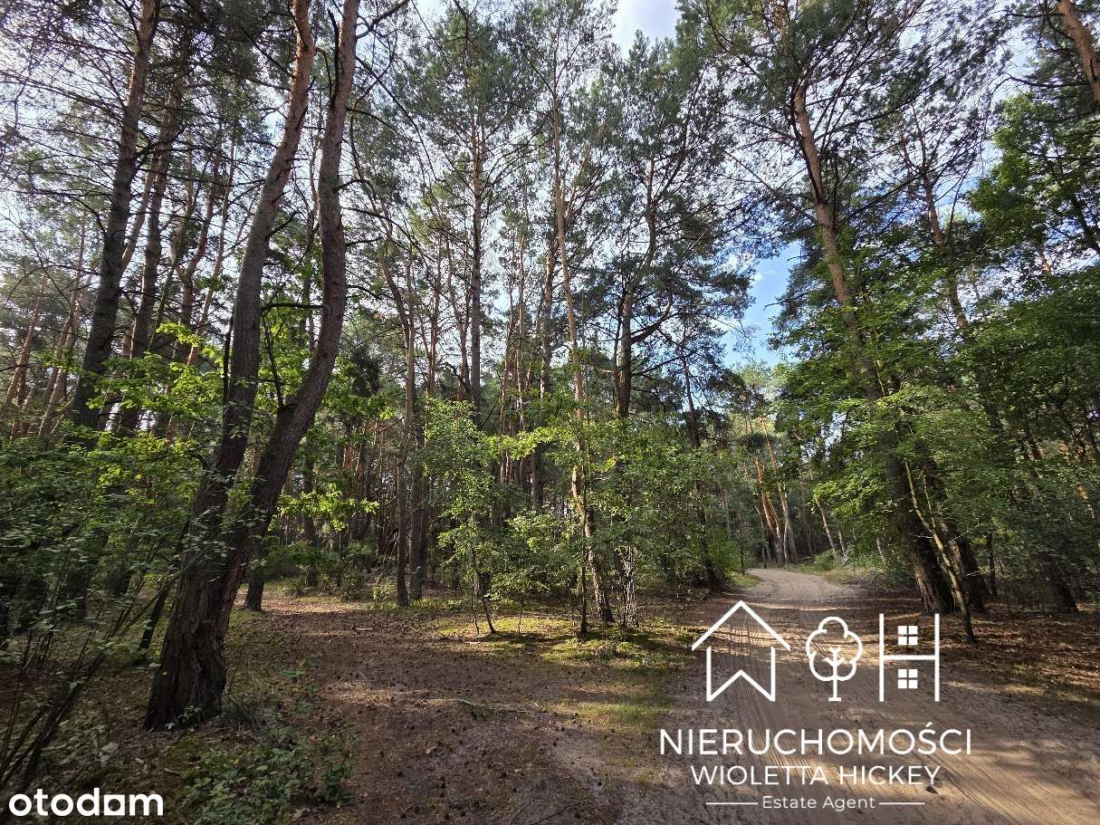 Teren inwestycyjny 5,76 ha – pod zabudowę mieszkaniową 1 ha 2365 m²-10