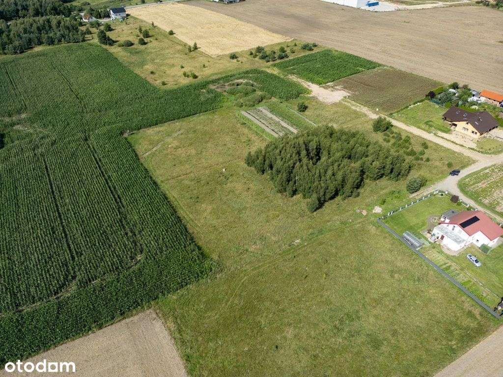 Działka z Mpzp I Spokojna okolica I Blisko Gdańsk - Pełny obrazek: 5/5