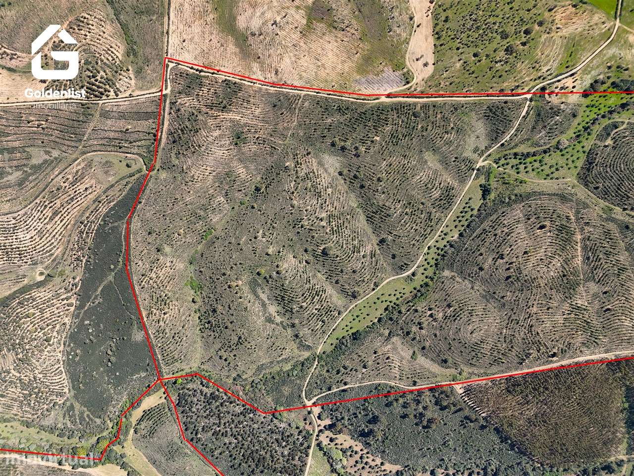 Herdade  Venda em Penamacor,Penamacor-10