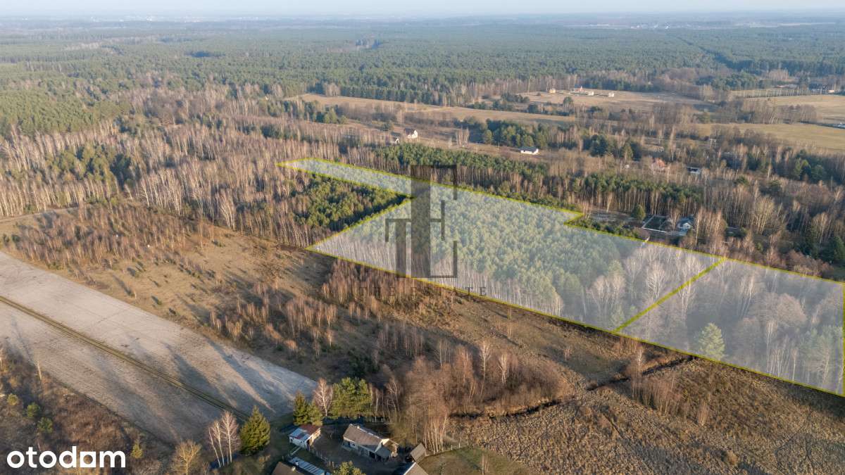 Działka rolna 2.45 HA gm. Grabów nad Pilicą - Pełny obrazek: 4/4