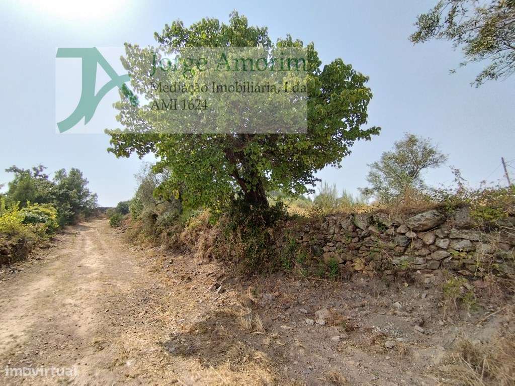 Casa de 2 pisos com terreno de 17400 m2-7