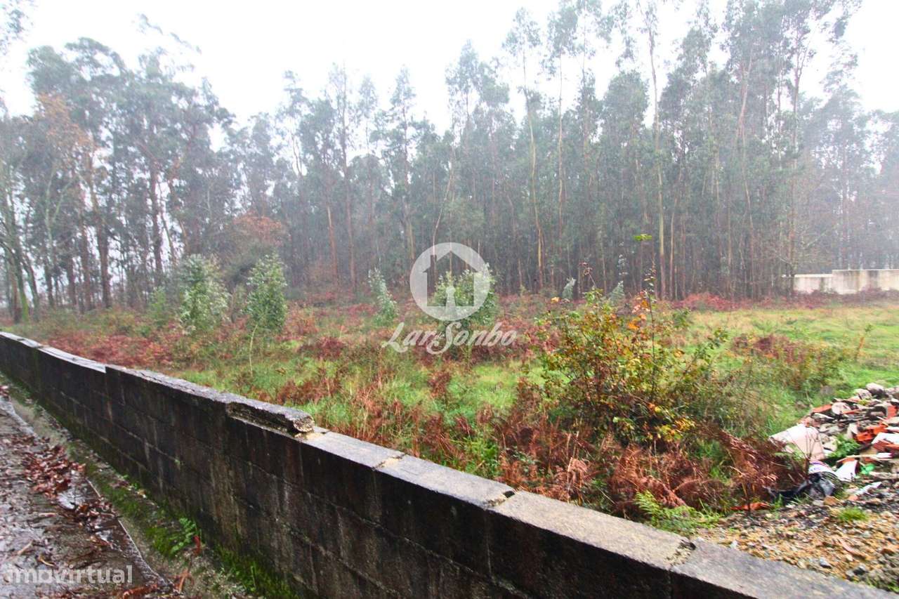 Terreno para Construção de moradias - Grande imagem: 5/24