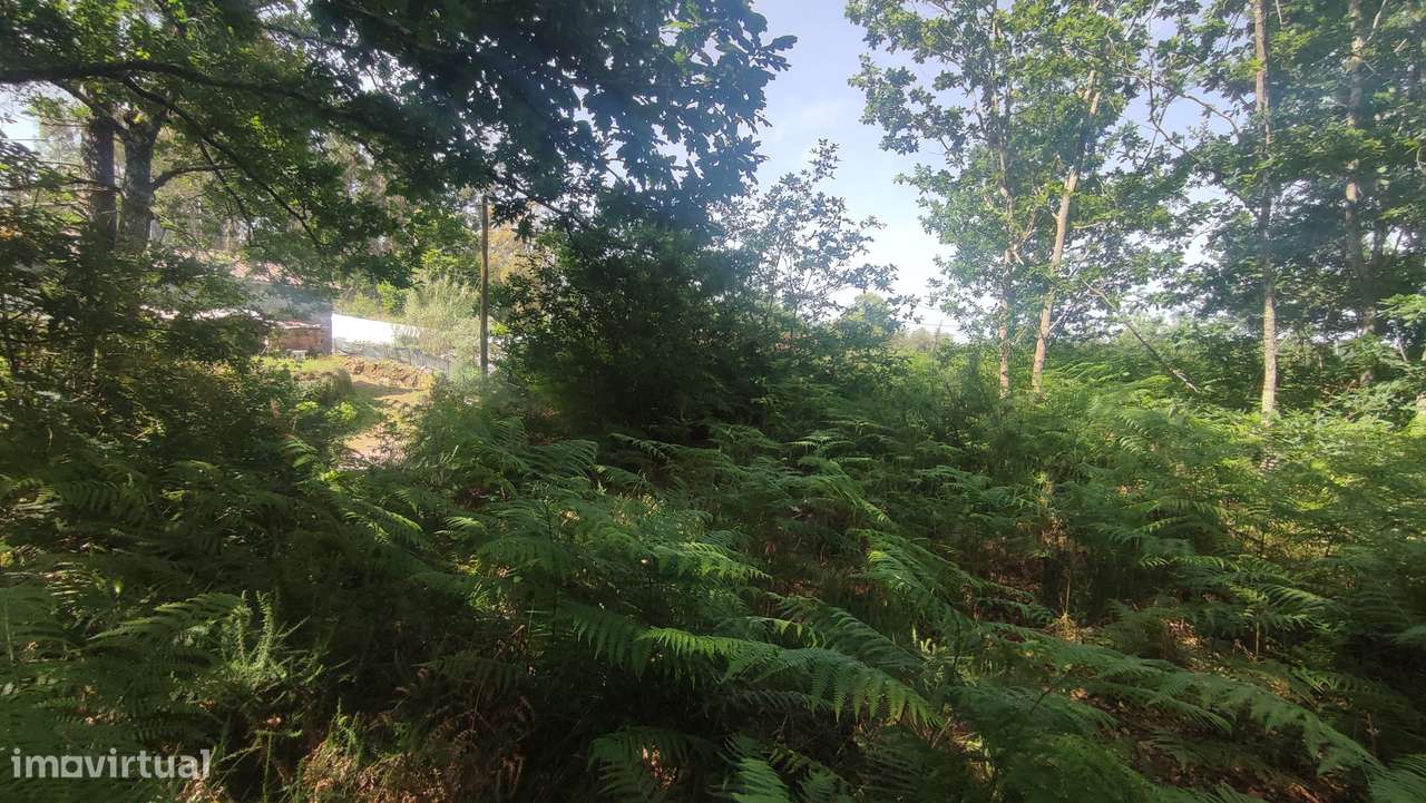 Terreno em Fiscal, Amares-12