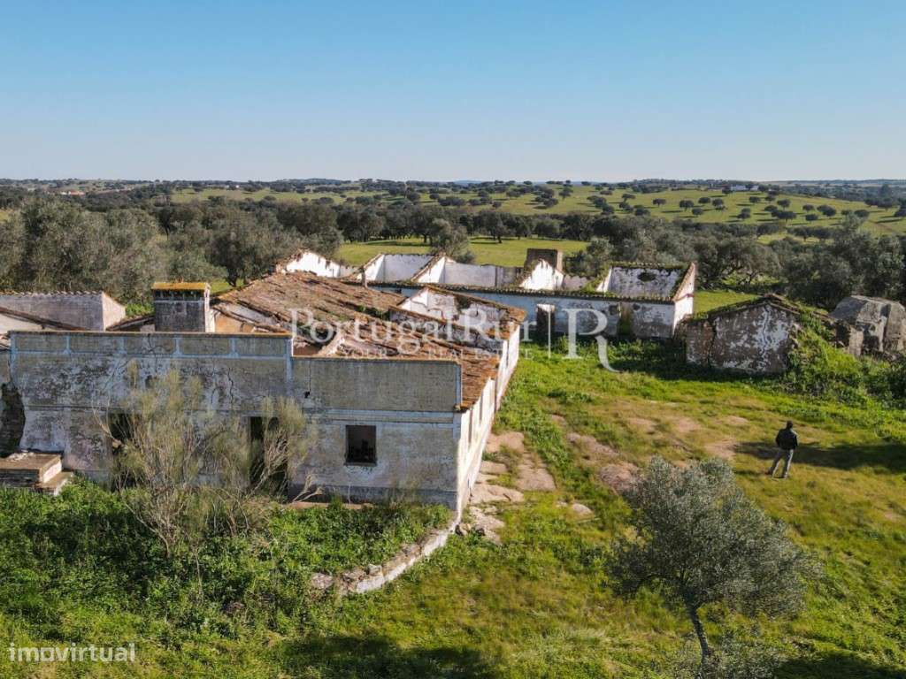 Herdade de 18 hectares perto de Estremoz-6