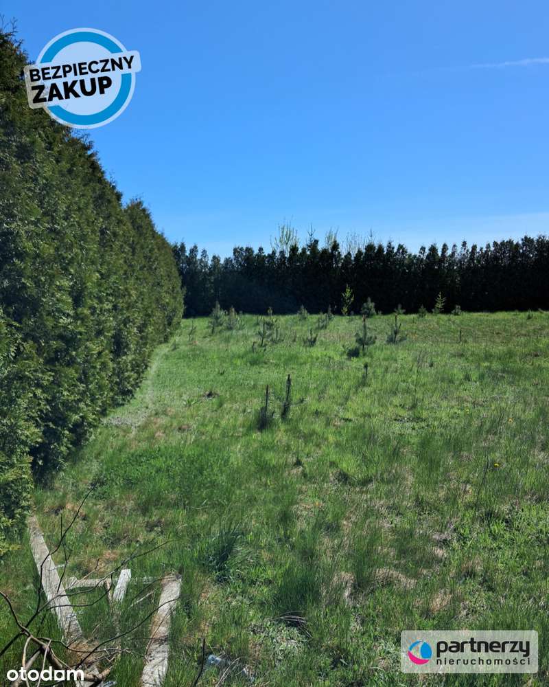 Idealna/ Śliczna działka w otulinie Drzew - Pełny obrazek: 4/12