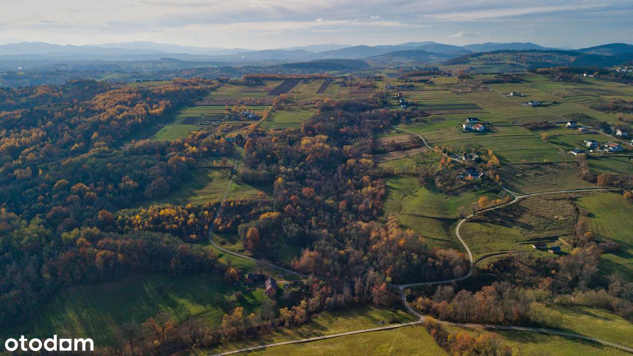 Działka rolna + rolno-leśna  3,5 ha - TRZETRZEWINA - Pełny obrazek: 2/4