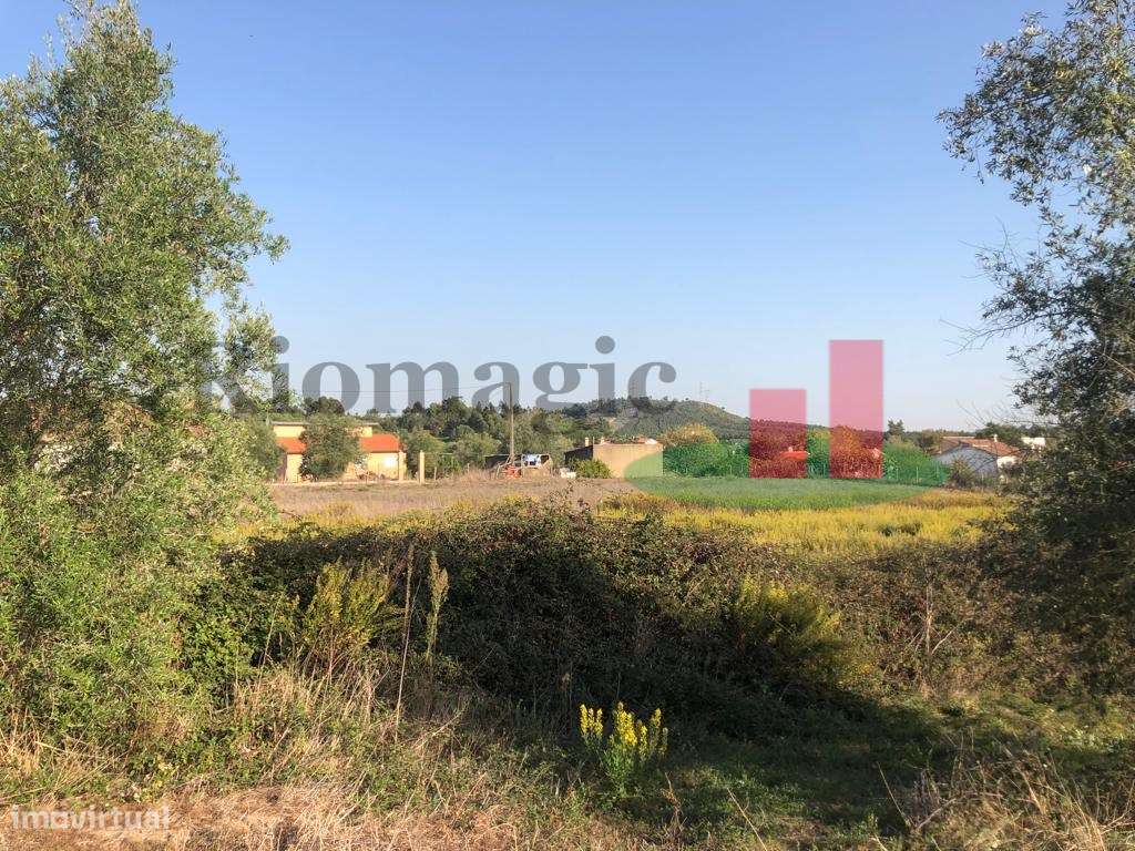 Terreno com Viabilidade de Construção Tagarro-Alcoentre***RIOMAGIC*** - Grande imagem: 3/13