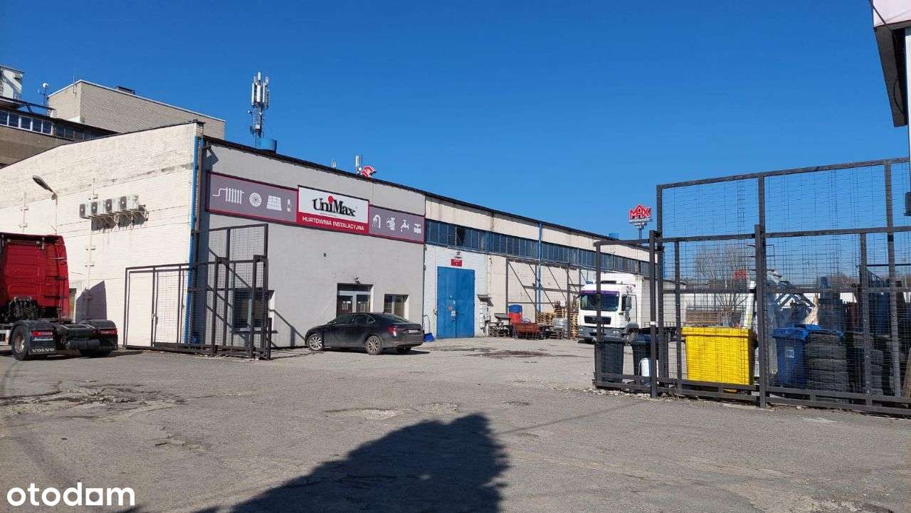 Hala magazynowa – 5 dużych bram wjazdowych - Pełny obrazek: 3/3