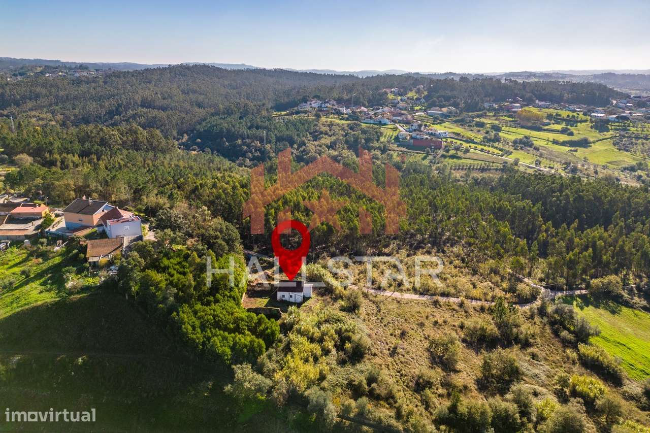 Quinta T3 em Remodelação / Terreno com 9.323m2 / Boa Vista-26